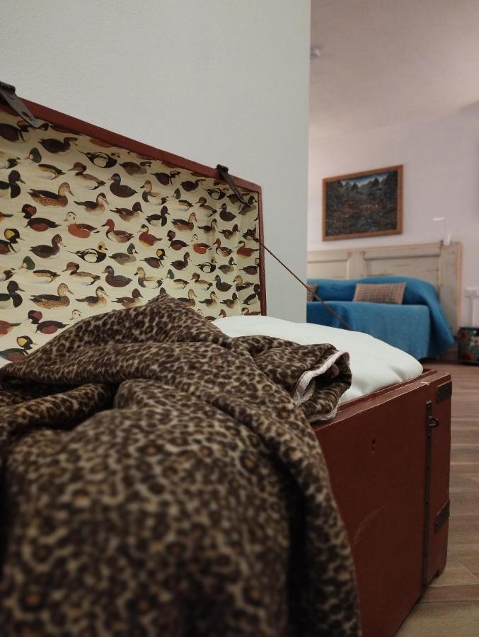 בולוניה A Casa Di Esther מראה חיצוני תמונה